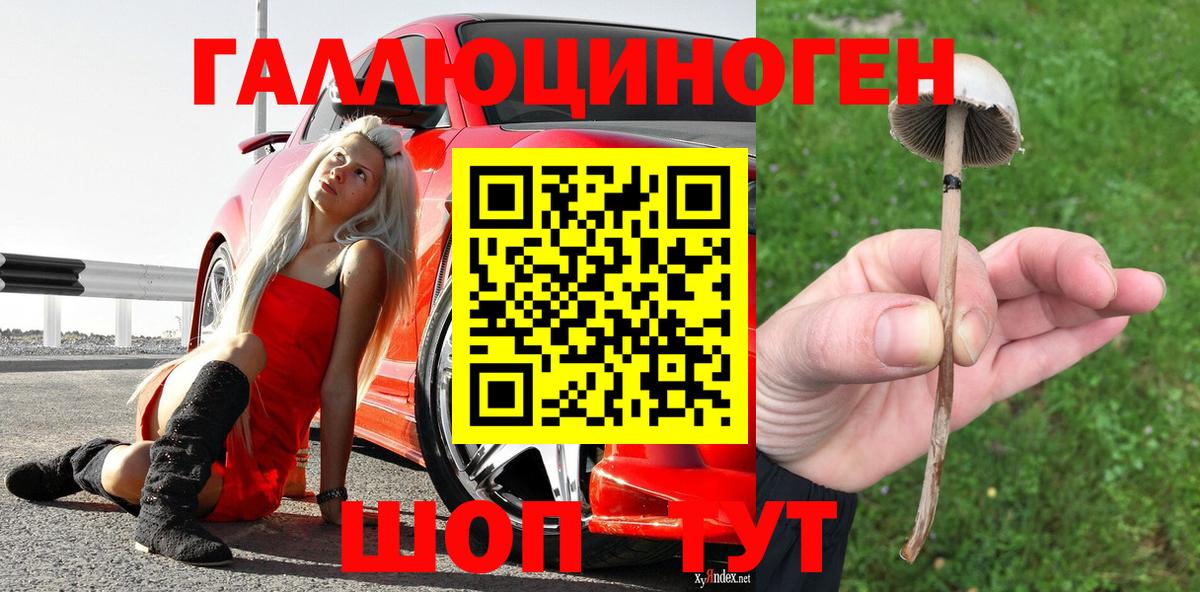 Озёрск  Псилоцибиновые грибы прущие грибы  Галлюциногенные грибы Cubensis  Вход с VPN 